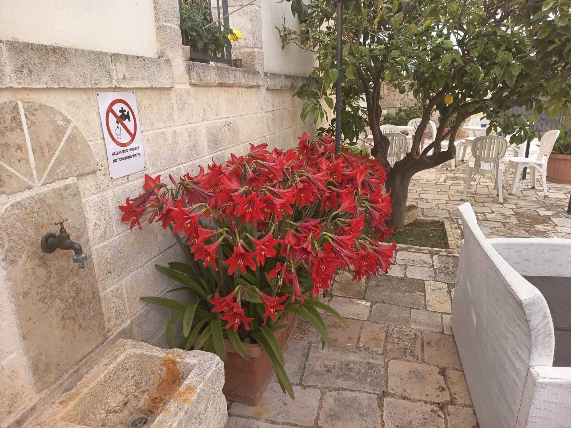 Il Mulino Del Monastero Bed & Breakfast *